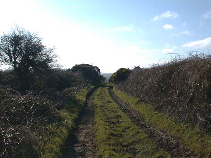 Old Bouleen Road 3.jpg 50.7K